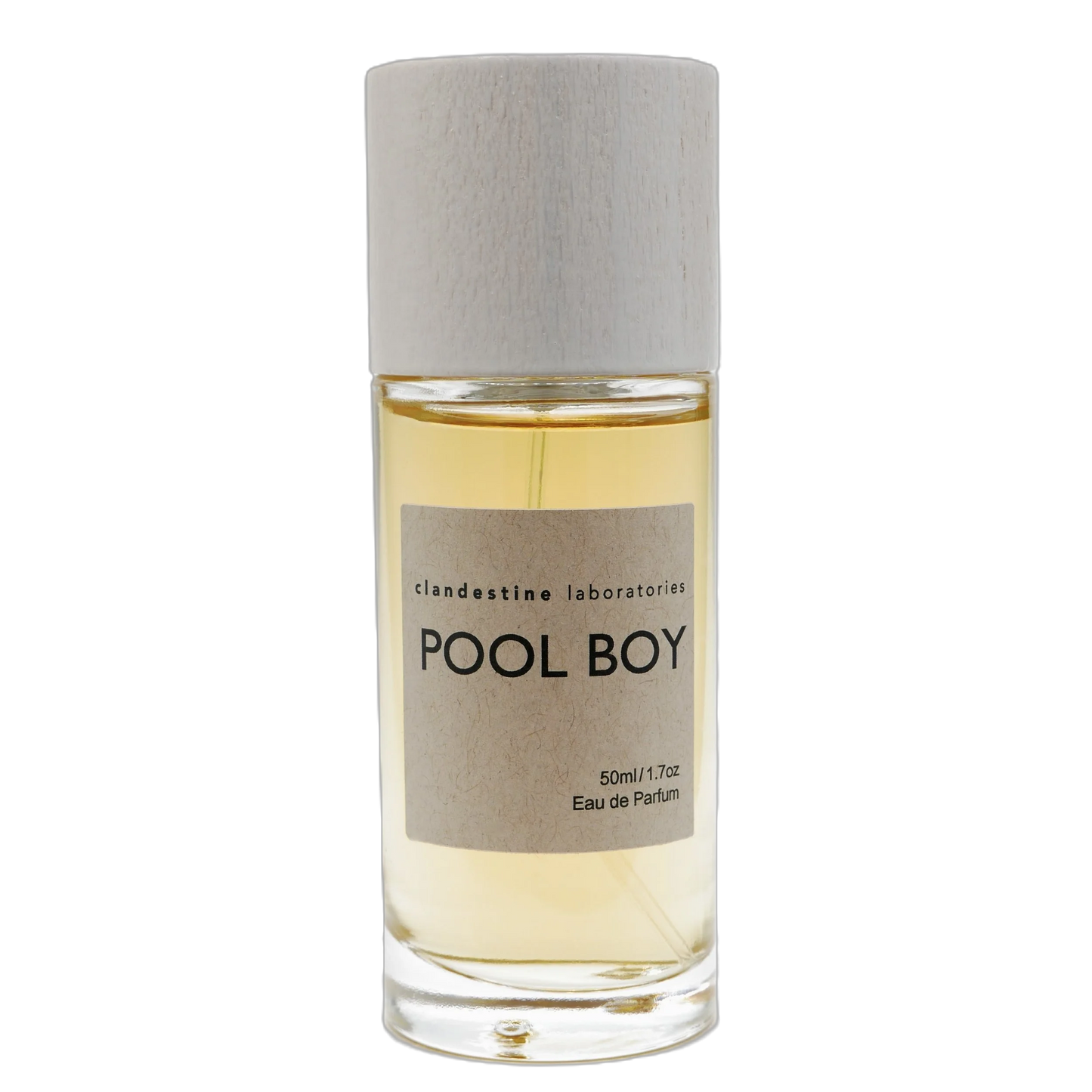 Clandestine Laboratories Pool Boy (2025)